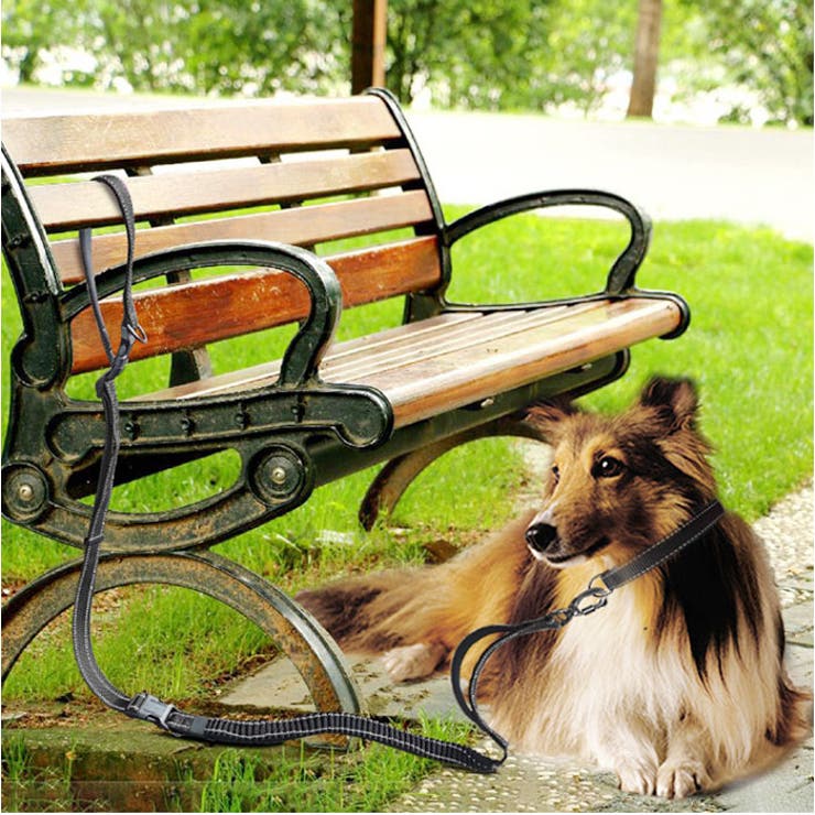 犬用リード ショルダーリード ウエストリード 大型犬 中型犬  | BACKYARD FAMILY | 詳細画像10 