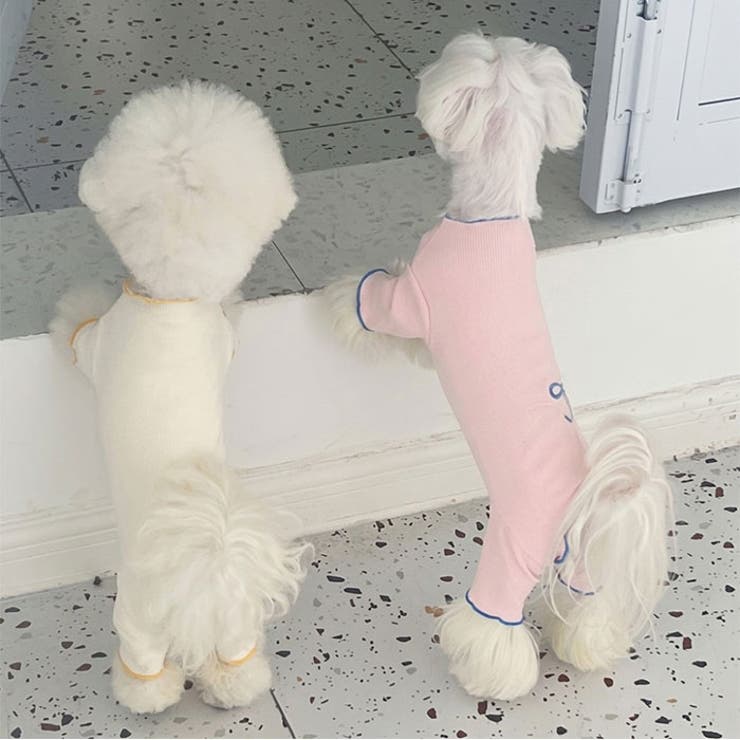 術後服 犬 女の子 小型犬 やわらか | BACKYARD FAMILY | 詳細画像13 