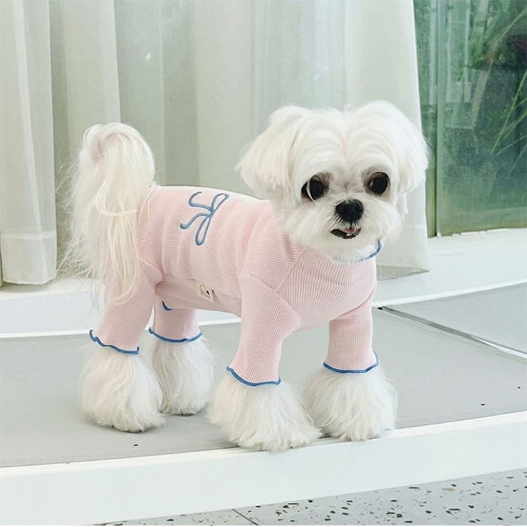 術後服 犬 女の子 小型犬 やわらか | BACKYARD FAMILY | 詳細画像15 