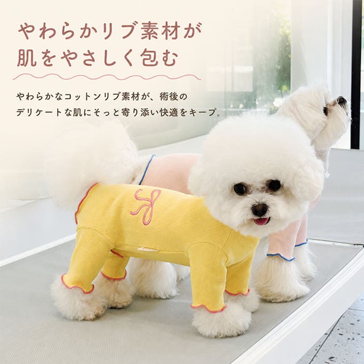 術後服 犬 女の子 小型犬 やわらか | BACKYARD FAMILY | 詳細画像5 