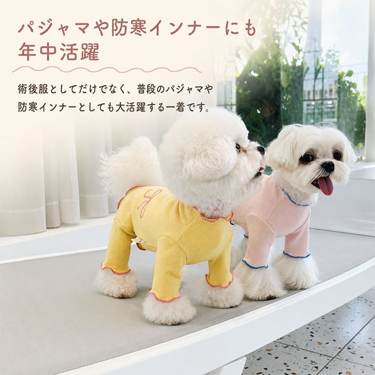 術後服 犬 女の子 小型犬 やわらか | BACKYARD FAMILY | 詳細画像8 