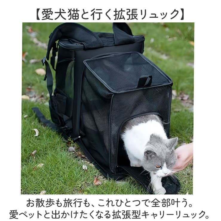 ペットリュック 拡張型 | BACKYARD FAMILY | 詳細画像2 
