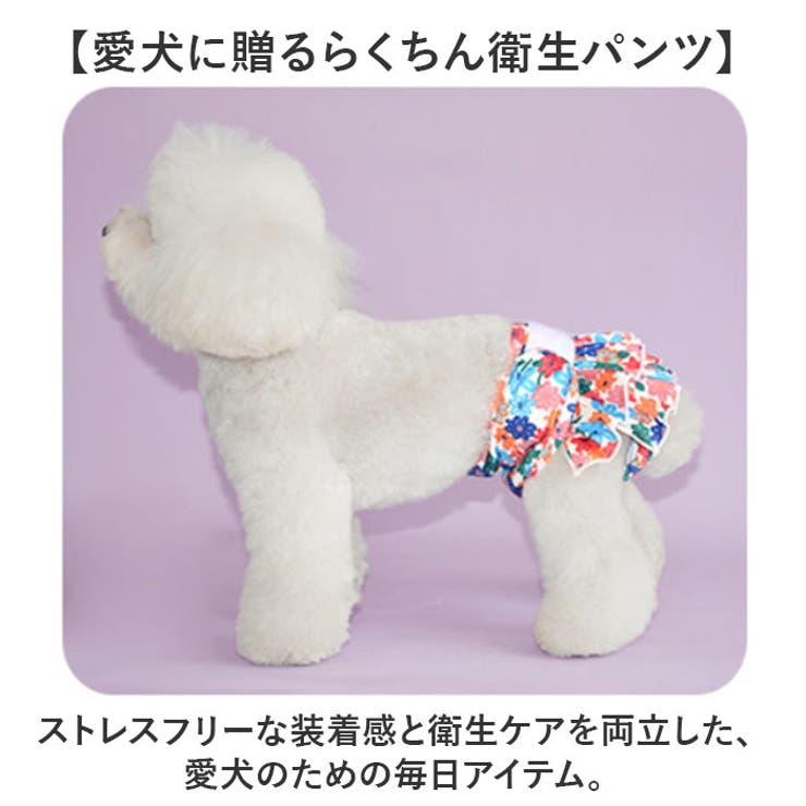 ペット 犬 マナーパンツ サニタリーパンツ かわいい | BACKYARD FAMILY | 詳細画像2 