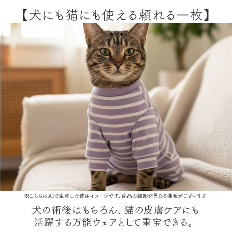 術後服 犬 ストライプ ボーダー 春夏秋冬 背中開き | BACKYARD FAMILY | 詳細画像12 