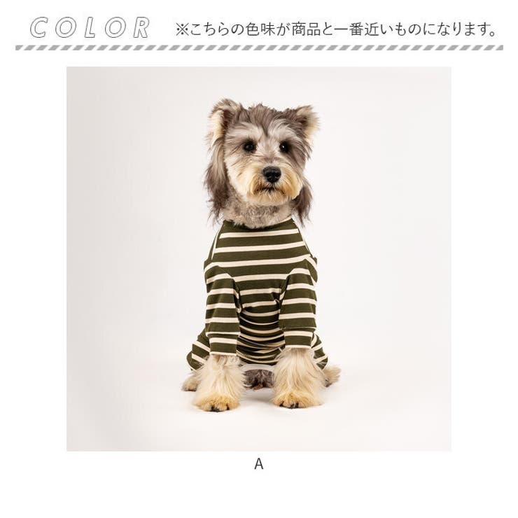 術後服 犬 ストライプ ボーダー 春夏秋冬 背中開き | BACKYARD FAMILY | 詳細画像14 