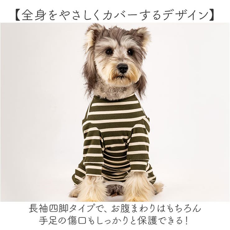 術後服 犬 ストライプ ボーダー 春夏秋冬 背中開き | BACKYARD FAMILY | 詳細画像10 