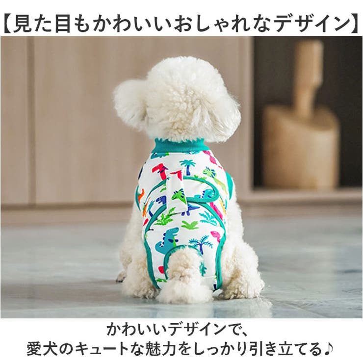 術後服 犬 ストライプ ボーダー 春夏秋冬 | BACKYARD FAMILY | 詳細画像5 