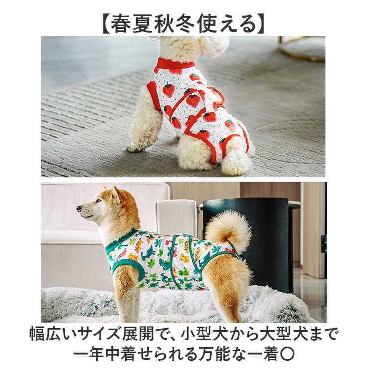 術後服 犬 ストライプ ボーダー 春夏秋冬 | BACKYARD FAMILY | 詳細画像7 