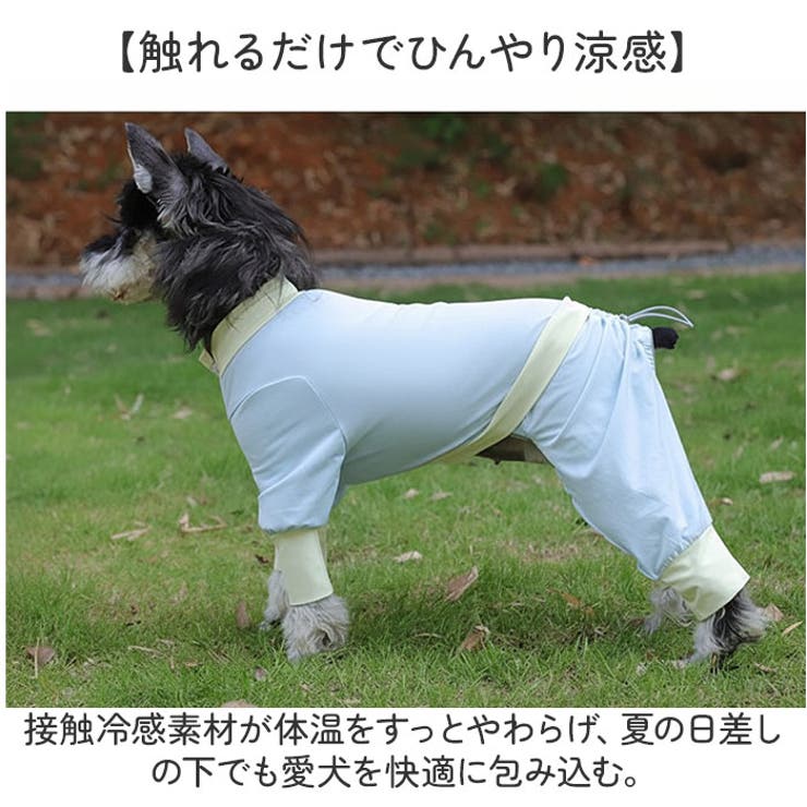 ひんやりドッグウェア ペット 暑さ対策 | BACKYARD FAMILY | 詳細画像5 