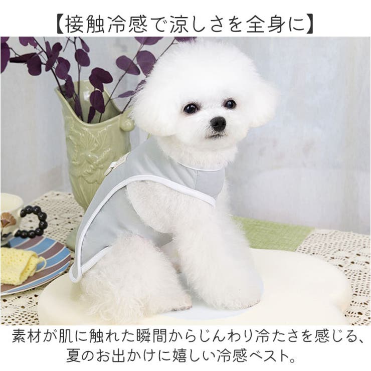 犬用クールベスト ペット ひんやり | BACKYARD FAMILY | 詳細画像3 