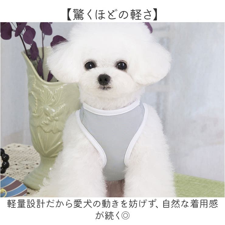 犬用クールベスト ペット ひんやり | BACKYARD FAMILY | 詳細画像7 