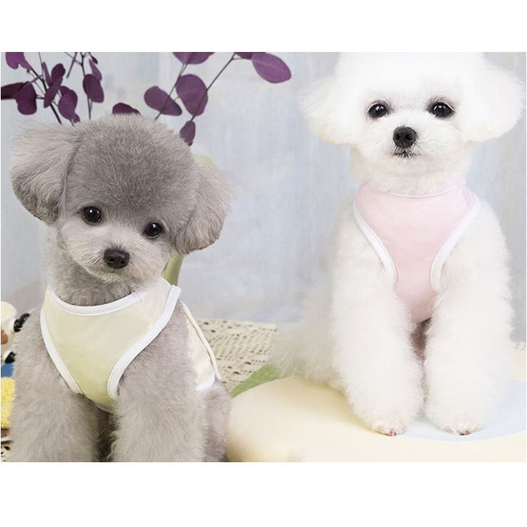 犬用クールベスト ペット ひんやり | BACKYARD FAMILY | 詳細画像8 