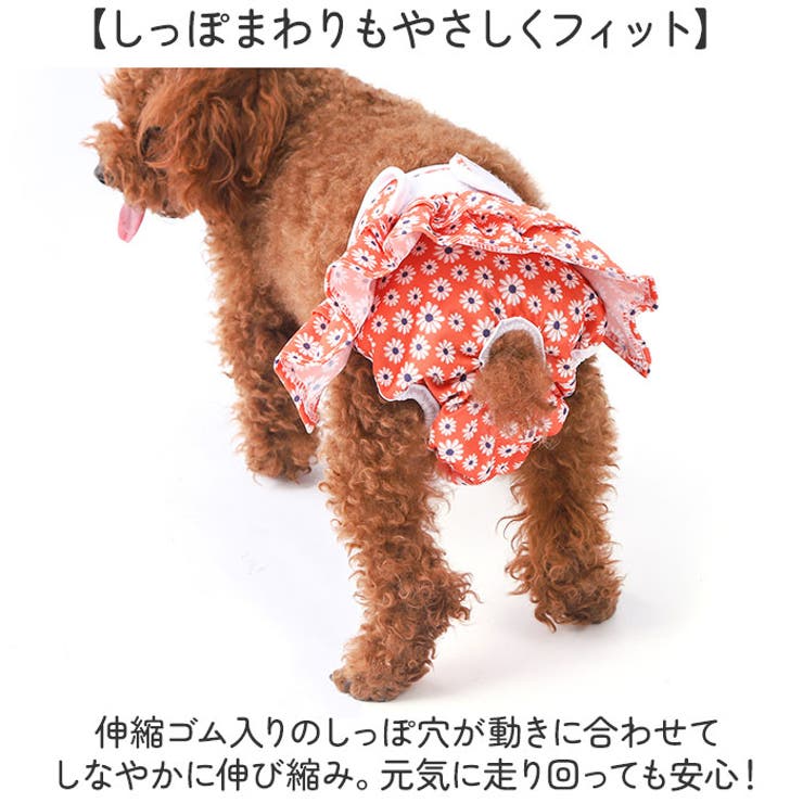 ペット 犬 マナーパンツ サニタリーパンツ かわいい | BACKYARD FAMILY | 詳細画像6 