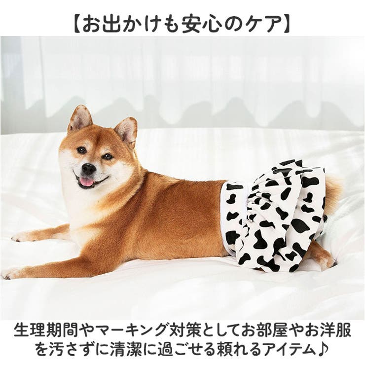 ペット 犬 マナーパンツ サニタリーパンツ かわいい | BACKYARD FAMILY | 詳細画像4 