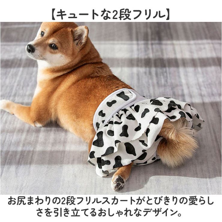 ペット 犬 マナーパンツ サニタリーパンツ かわいい | BACKYARD FAMILY | 詳細画像5 