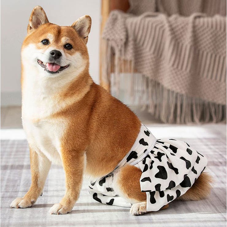 ペット 犬 マナーパンツ サニタリーパンツ かわいい | BACKYARD FAMILY | 詳細画像9 