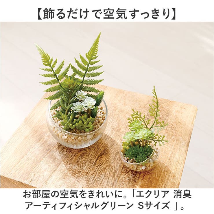 Eclia エクリア 消臭アーティフィシャルグリーン Sサイズ | BACKYARD FAMILY | 詳細画像2 
