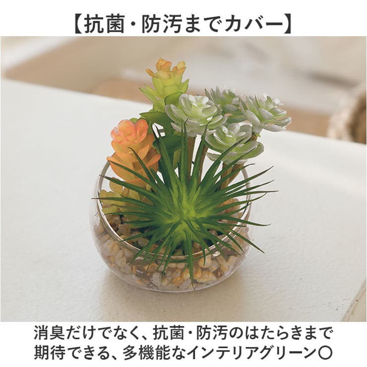 Eclia エクリア 消臭アーティフィシャルグリーン Sサイズ | BACKYARD FAMILY | 詳細画像4 
