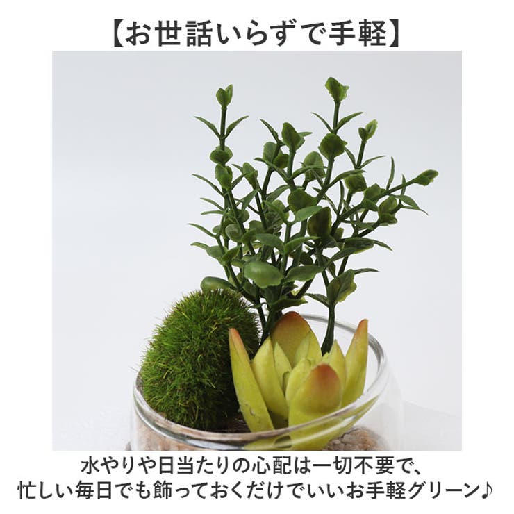 Eclia エクリア 消臭アーティフィシャルグリーン Sサイズ | BACKYARD FAMILY | 詳細画像6 