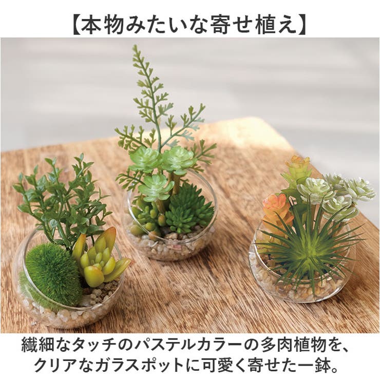Eclia エクリア 消臭アーティフィシャルグリーン Sサイズ | BACKYARD FAMILY | 詳細画像7 
