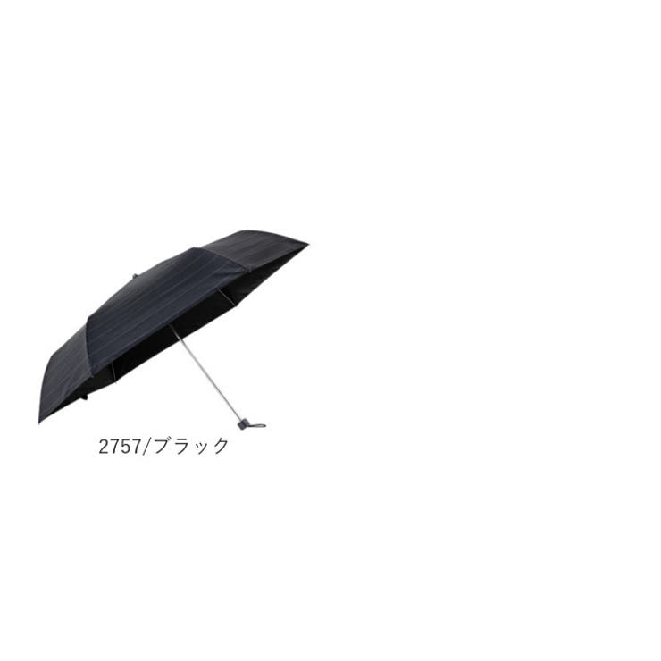 Mens UV bloc Umbrella 折りたたみ傘 58cm | BACKYARD FAMILY | 詳細画像19 