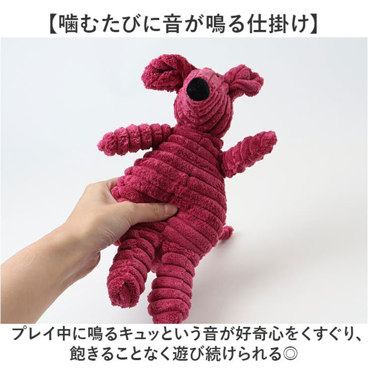 犬 おもちゃ 歯磨き 犬用玩具 | BACKYARD FAMILY | 詳細画像3 