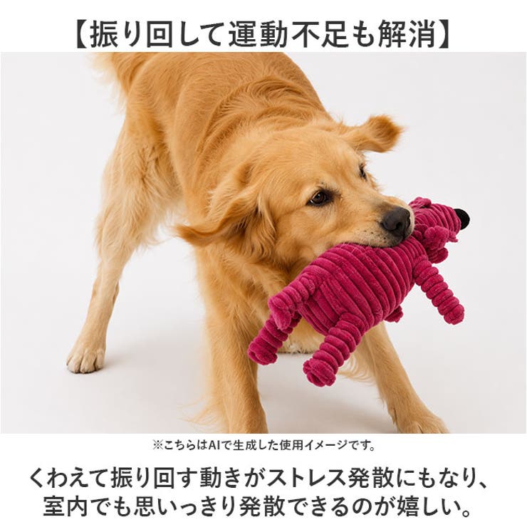 犬 おもちゃ 歯磨き 犬用玩具 | BACKYARD FAMILY | 詳細画像4 