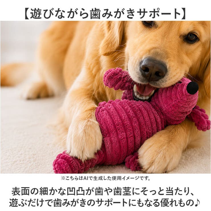 犬 おもちゃ 歯磨き 犬用玩具 | BACKYARD FAMILY | 詳細画像6 