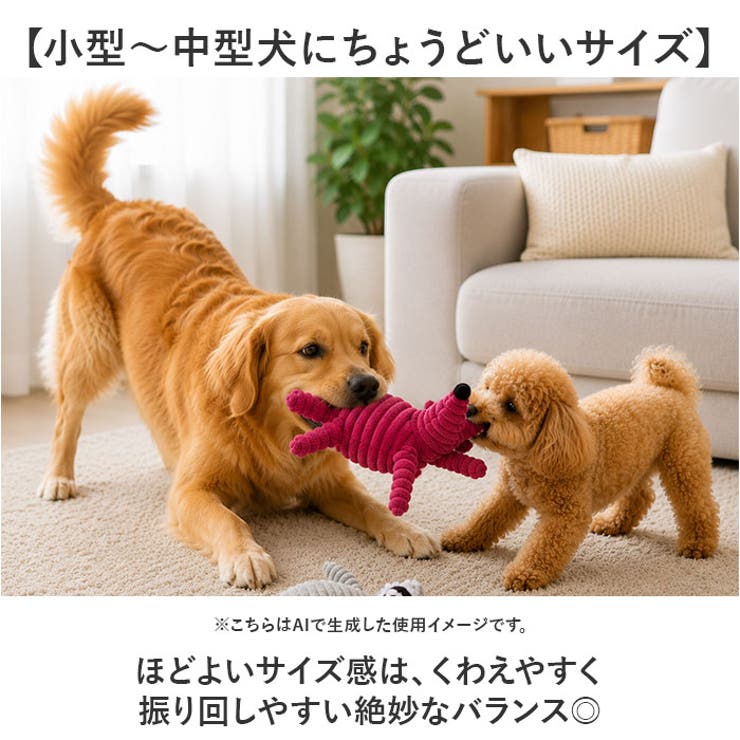 犬 おもちゃ 歯磨き 犬用玩具 | BACKYARD FAMILY | 詳細画像8 