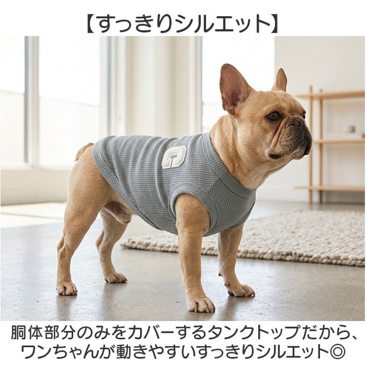 犬服 ペットウェア 可愛い | BACKYARD FAMILY | 詳細画像4 