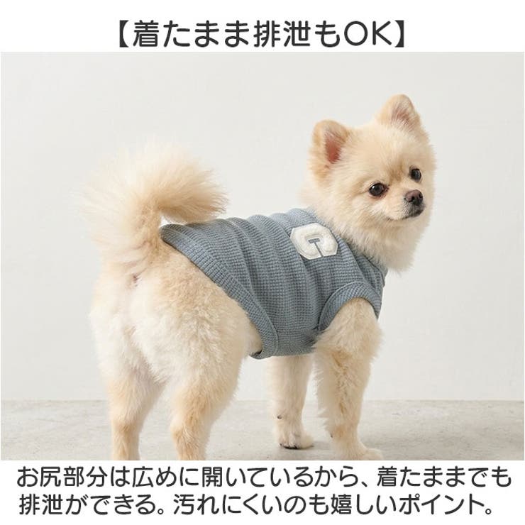 犬服 ペットウェア 可愛い | BACKYARD FAMILY | 詳細画像5 