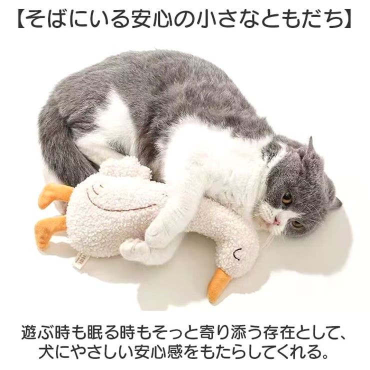 猫おもちゃ 音が鳴る 犬用おもちゃ | BACKYARD FAMILY | 詳細画像7 