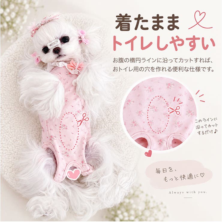 ペット 犬用 術後服 かわいい | BACKYARD FAMILY | 詳細画像5 