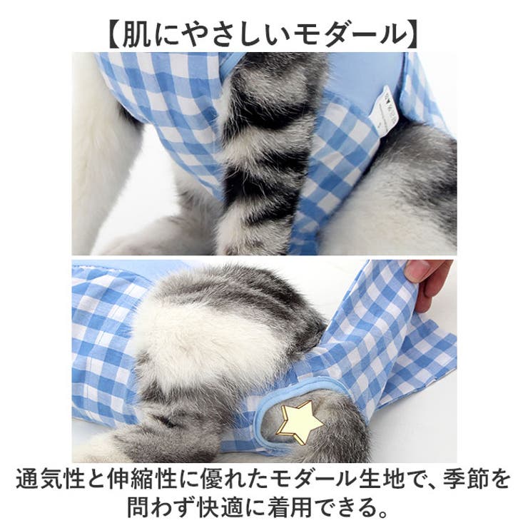 ペット 猫用 術後服 かわいい | BACKYARD FAMILY | 詳細画像6 
