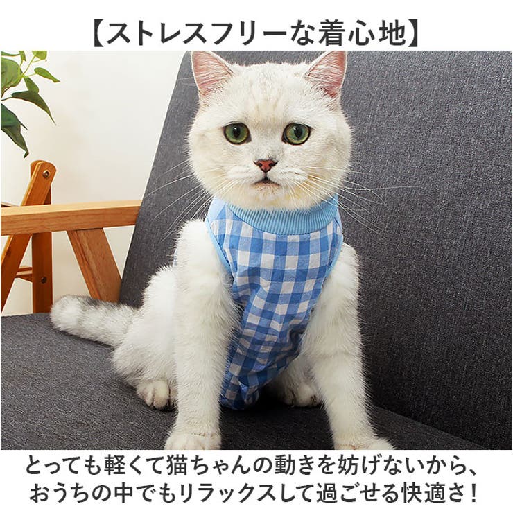 ペット 猫用 術後服 かわいい | BACKYARD FAMILY | 詳細画像7 