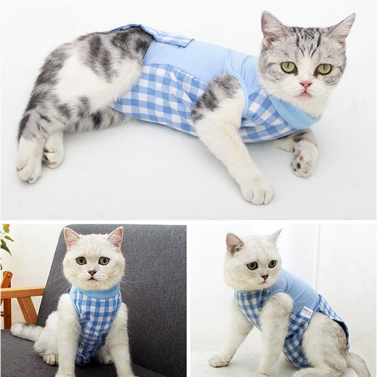 ペット 猫用 術後服 かわいい | BACKYARD FAMILY | 詳細画像8 