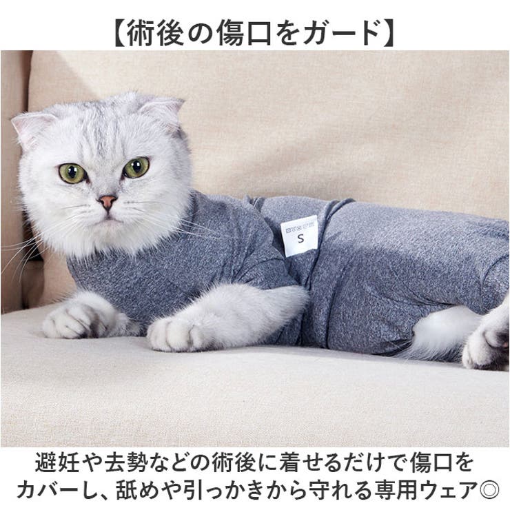 ペット 猫用 術後服 伸縮 シンプル | BACKYARD FAMILY | 詳細画像3 