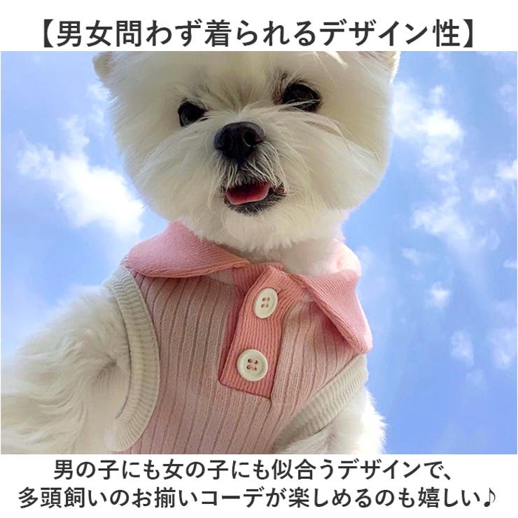 犬服 春 夏 ドッグウェア 袖なし可愛い | BACKYARD FAMILY | 詳細画像5 