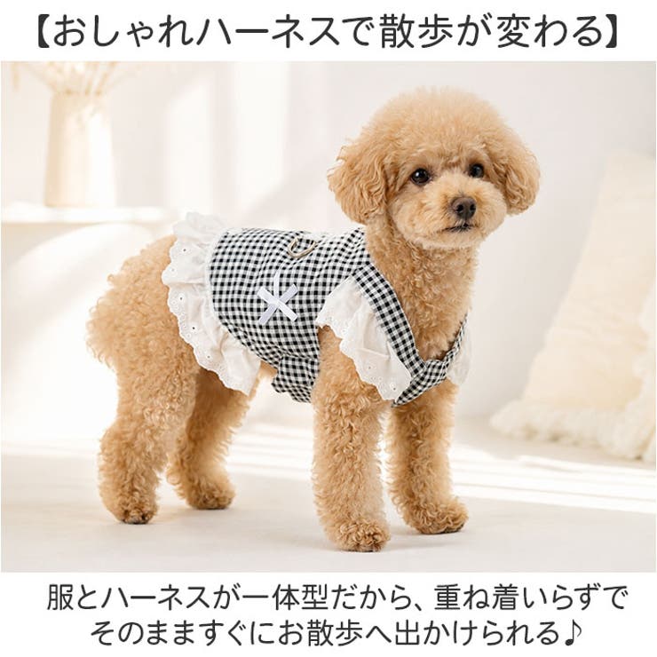 犬服 ハーネス ベスト 背中開き ペットウェア  | BACKYARD FAMILY | 詳細画像2 