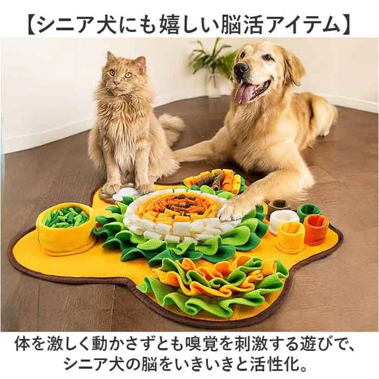 犬おもちゃ 嗅ぎマット ノーズワーク | BACKYARD FAMILY | 詳細画像6 