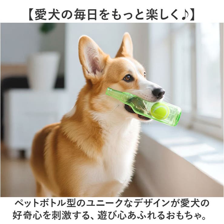 噛むおもちゃ 犬用 ボール付き | BACKYARD FAMILY | 詳細画像2 