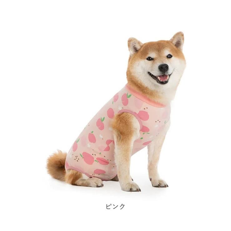 犬 術後服 傷舐め防止 中型犬 大型犬 ストレッチ | BACKYARD FAMILY | 詳細画像14 