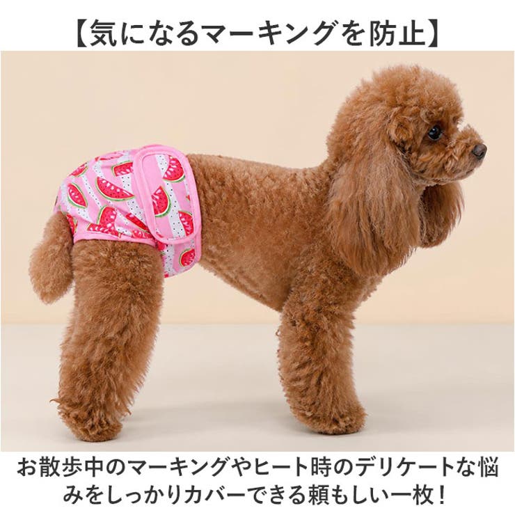 犬 吸収 マナーパンツオムツカバー ドッグウェア | BACKYARD FAMILY | 詳細画像4 