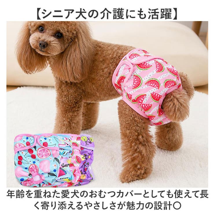 犬 吸収 マナーパンツオムツカバー ドッグウェア | BACKYARD FAMILY | 詳細画像6 