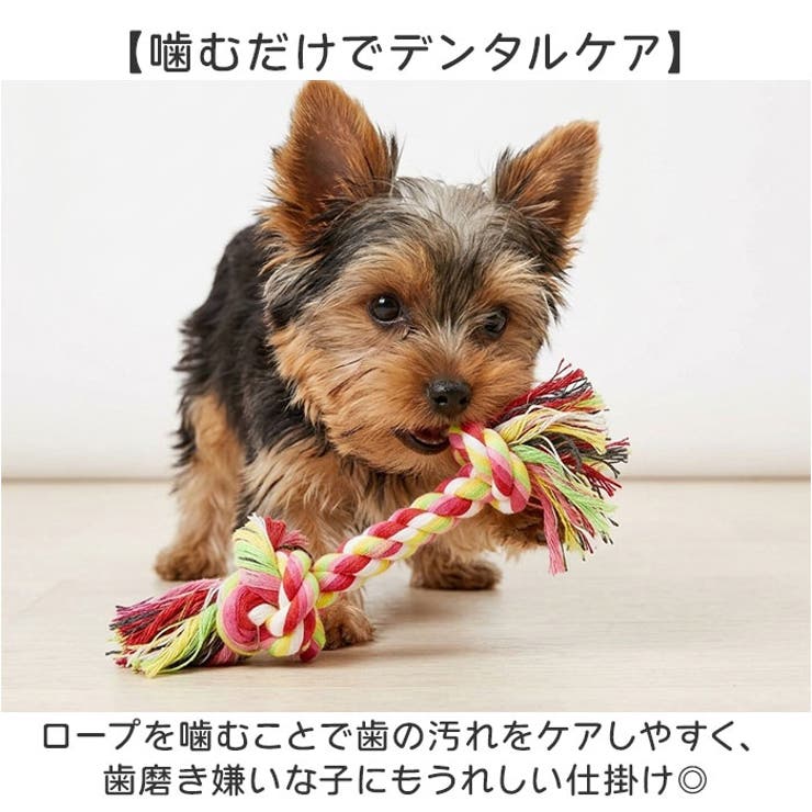 犬 おもちゃ 10個セット | BACKYARD FAMILY | 詳細画像4 