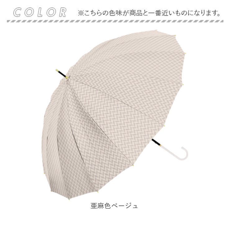 NaturalBasic 16本骨 彩 irodori 55cm 手開き | BACKYARD FAMILY | 詳細画像15 