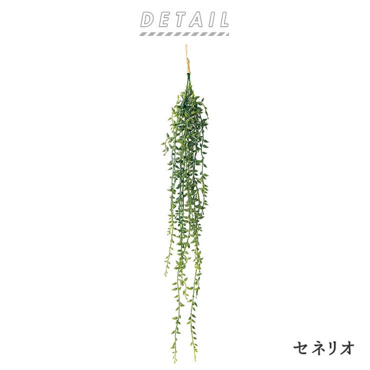 光触媒 インテリアグリーン | BACKYARD FAMILY | 詳細画像2 