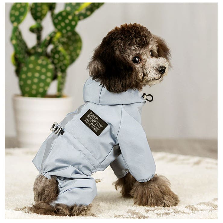 犬