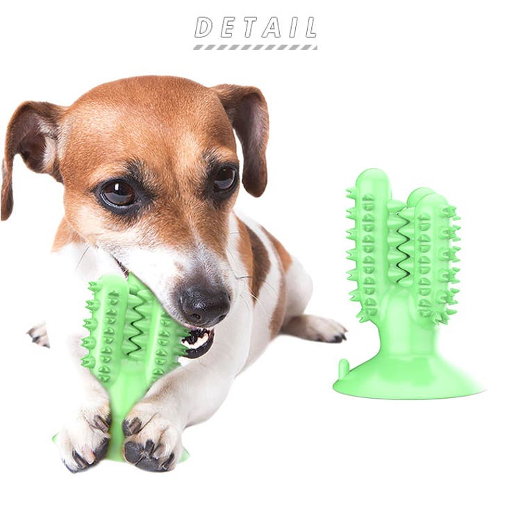 犬歯ブラシ噛むおもちゃ Ds423 品番 yw Backyard Family バックヤードファミリー のレディースファッション通販 Shoplist ショップリスト 犬歯ブラシ噛むおもちゃ Ds423 品番 yw Backyard Family バックヤードファミリー のレディースファッション通販 Shoplist ショップリスト