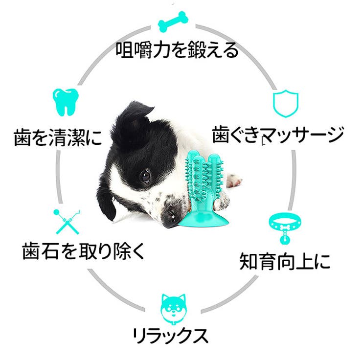 犬歯ブラシ噛むおもちゃ Ds423 品番 yw Backyard Family バックヤードファミリー のレディースファッション通販 Shoplist ショップリスト